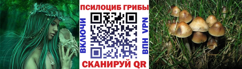 наркотики  Кизляр  Псилоцибиновые грибы Magic Shrooms 